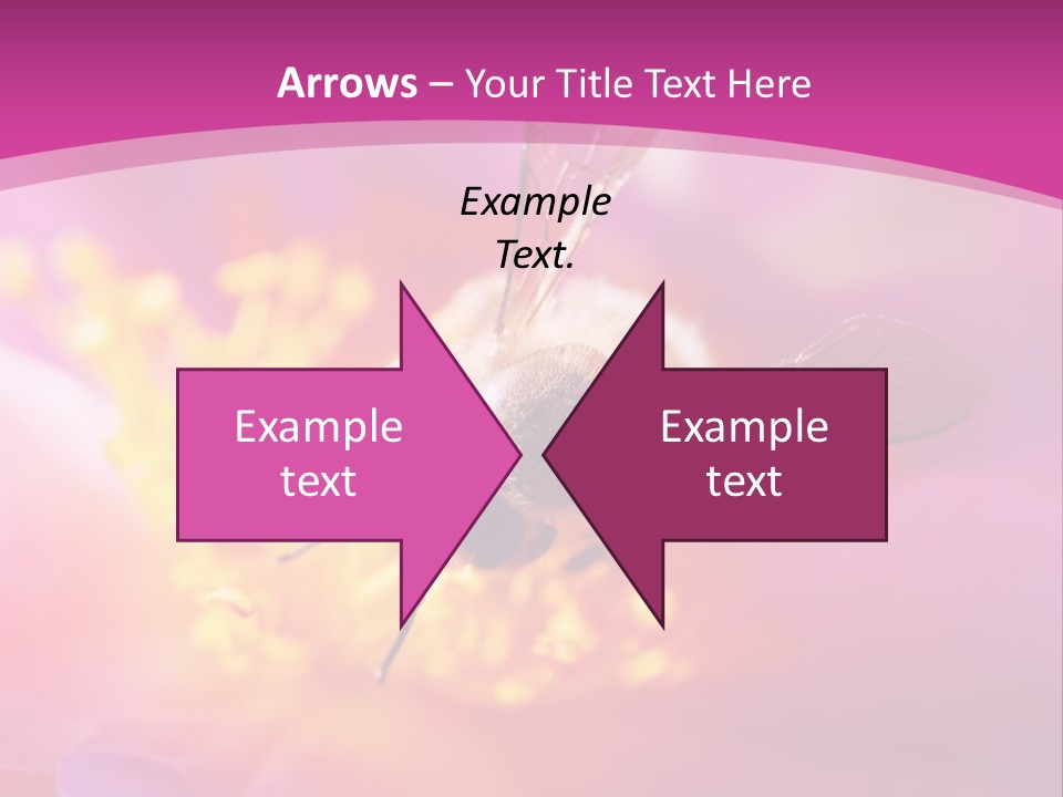 Botany Season Flower PowerPoint Template