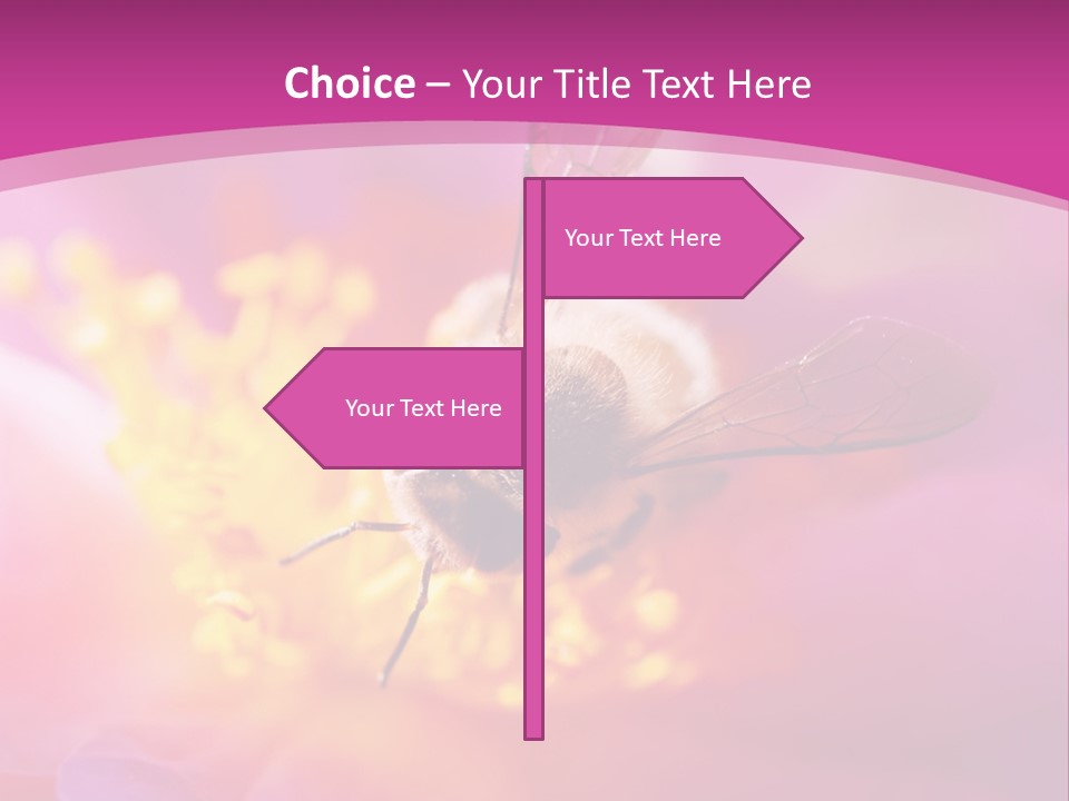 Botany Season Flower PowerPoint Template