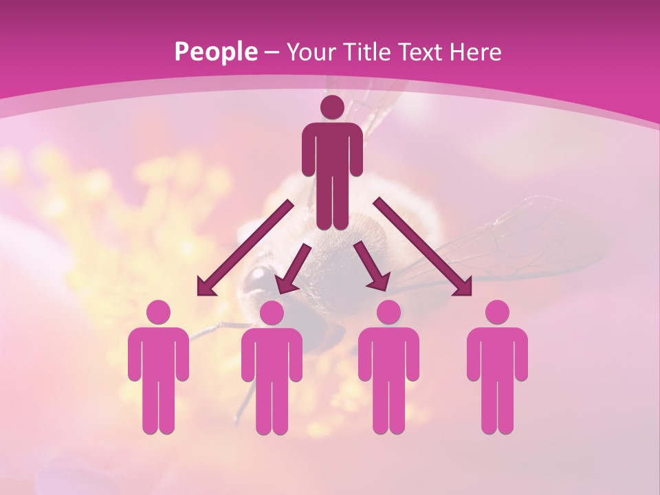 Botany Season Flower PowerPoint Template