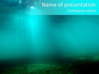 Waterway Caribbean Aquarium PowerPoint Template