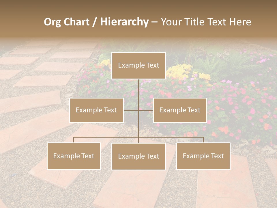 Adult Lotus Businesswoman PowerPoint Template