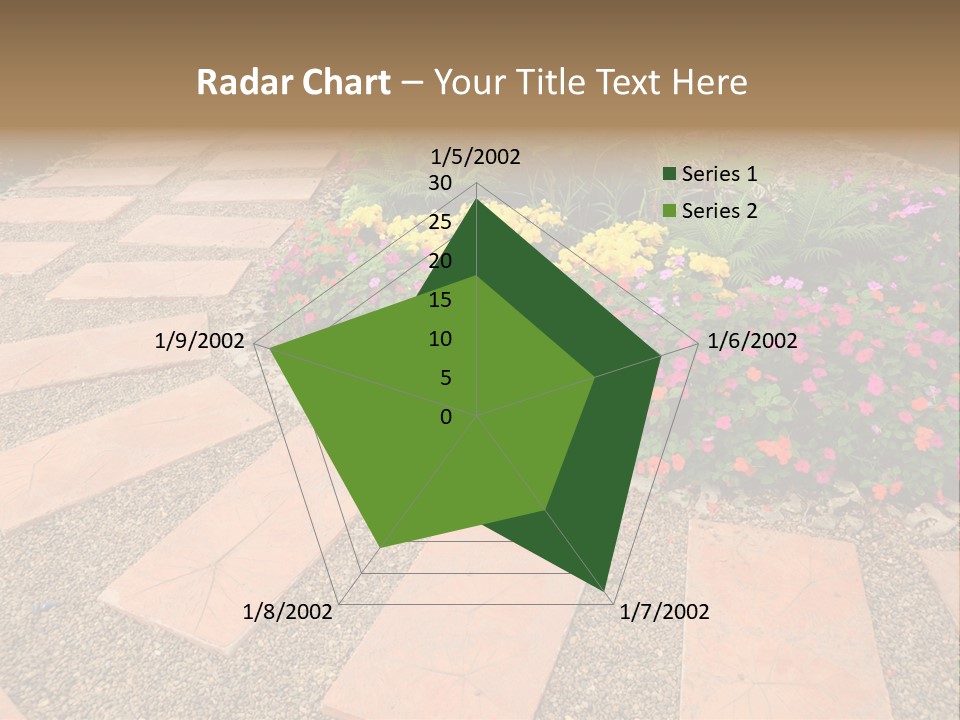 Adult Lotus Businesswoman PowerPoint Template