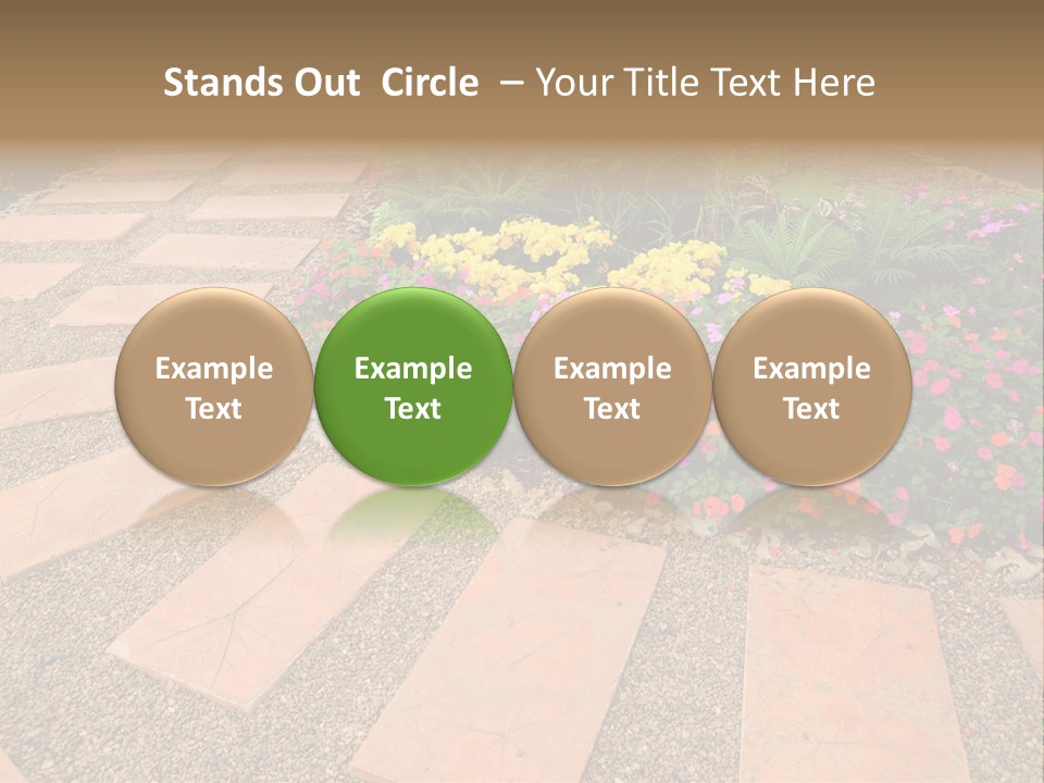 Adult Lotus Businesswoman PowerPoint Template