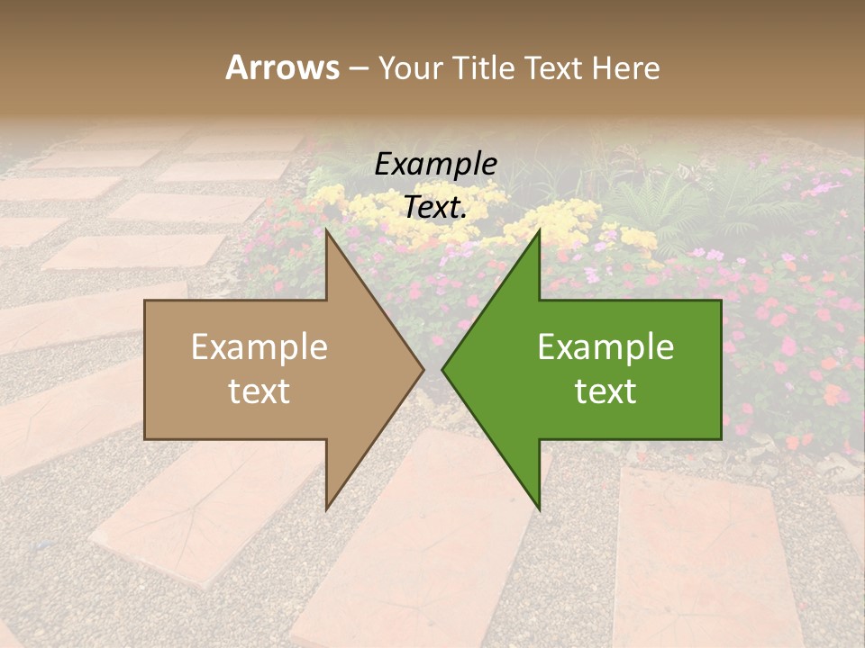 Adult Lotus Businesswoman PowerPoint Template