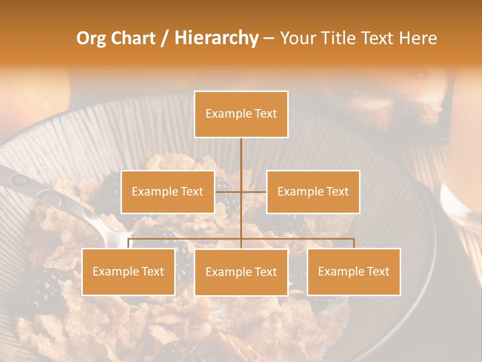 Diet Dieting Product PowerPoint Template