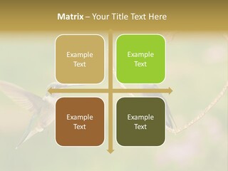 Beautiful Cute Sky PowerPoint Template