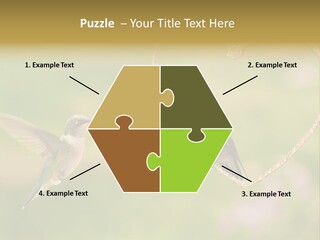 Beautiful Cute Sky PowerPoint Template