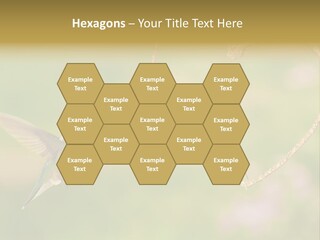 Beautiful Cute Sky PowerPoint Template