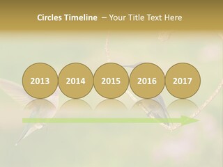 Beautiful Cute Sky PowerPoint Template