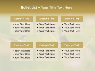 Beautiful Cute Sky PowerPoint Template