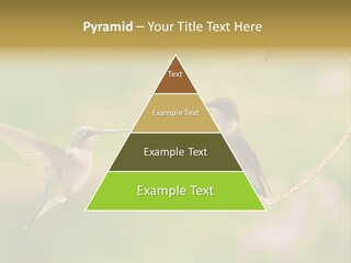 Beautiful Cute Sky PowerPoint Template