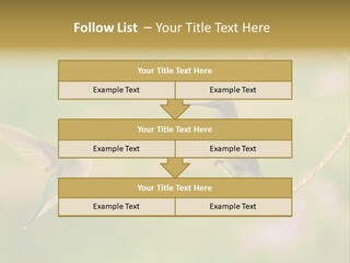 Beautiful Cute Sky PowerPoint Template