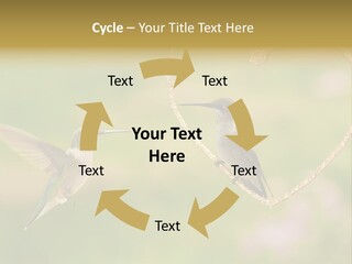 Beautiful Cute Sky PowerPoint Template