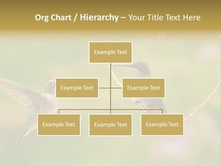 Beautiful Cute Sky PowerPoint Template