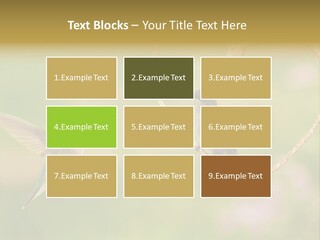Beautiful Cute Sky PowerPoint Template