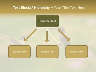Beautiful Cute Sky PowerPoint Template