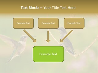 Beautiful Cute Sky PowerPoint Template