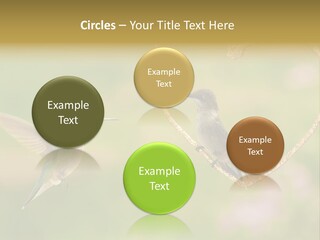 Beautiful Cute Sky PowerPoint Template