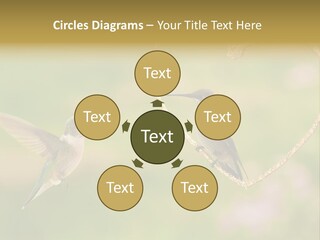 Beautiful Cute Sky PowerPoint Template