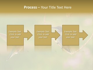 Beautiful Cute Sky PowerPoint Template