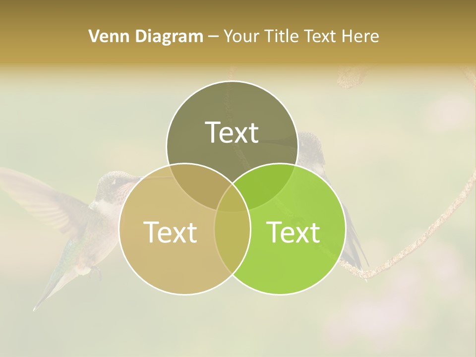 Beautiful Cute Sky PowerPoint Template