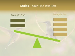 Beautiful Cute Sky PowerPoint Template