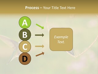 Beautiful Cute Sky PowerPoint Template