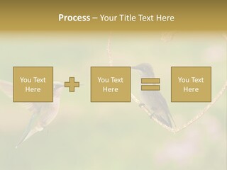 Beautiful Cute Sky PowerPoint Template