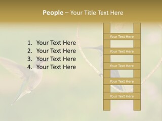 Beautiful Cute Sky PowerPoint Template