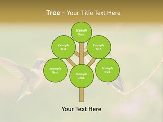 Beautiful Cute Sky PowerPoint Template