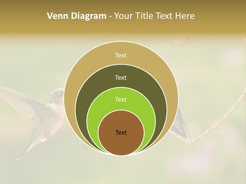 Beautiful Cute Sky PowerPoint Template