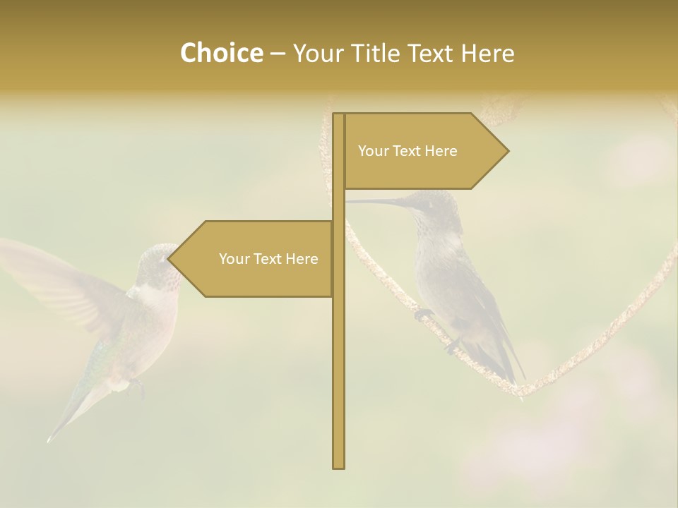 Beautiful Cute Sky PowerPoint Template
