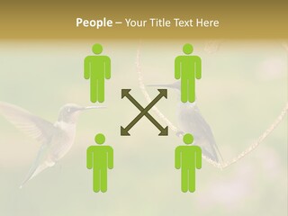 Beautiful Cute Sky PowerPoint Template