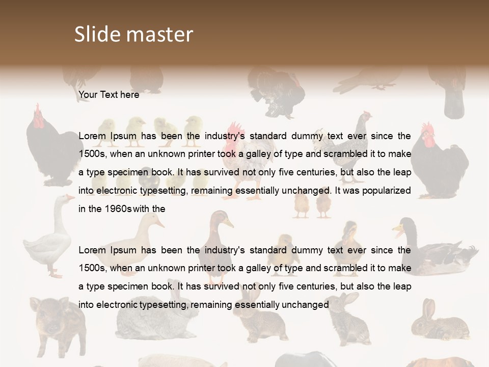 Snail Beautiful Fry PowerPoint Template