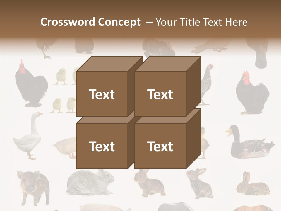 Snail Beautiful Fry PowerPoint Template