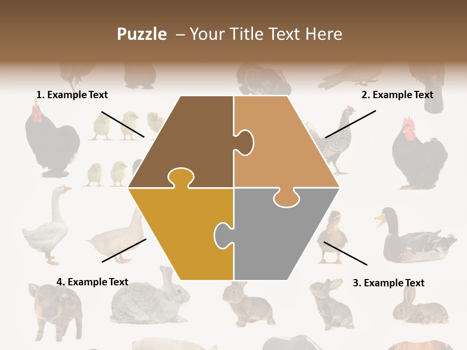 Snail Beautiful Fry PowerPoint Template