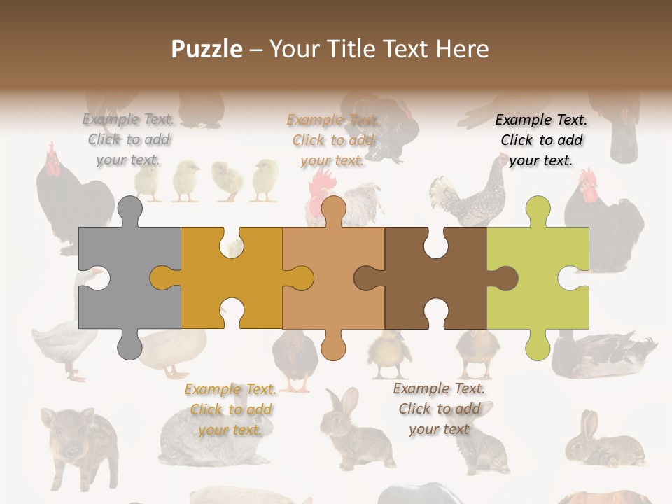 Snail Beautiful Fry PowerPoint Template