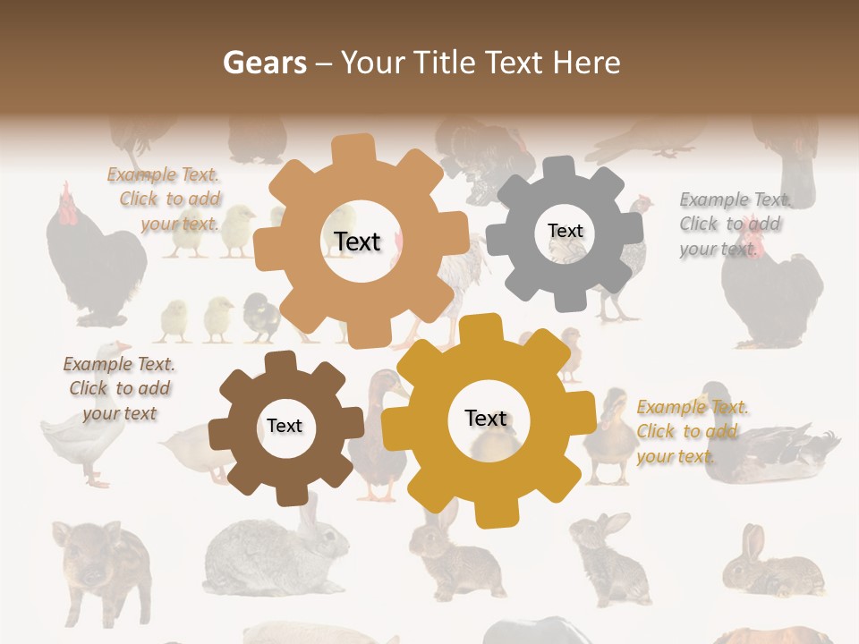 Snail Beautiful Fry PowerPoint Template