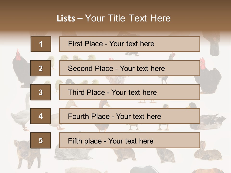 Snail Beautiful Fry PowerPoint Template