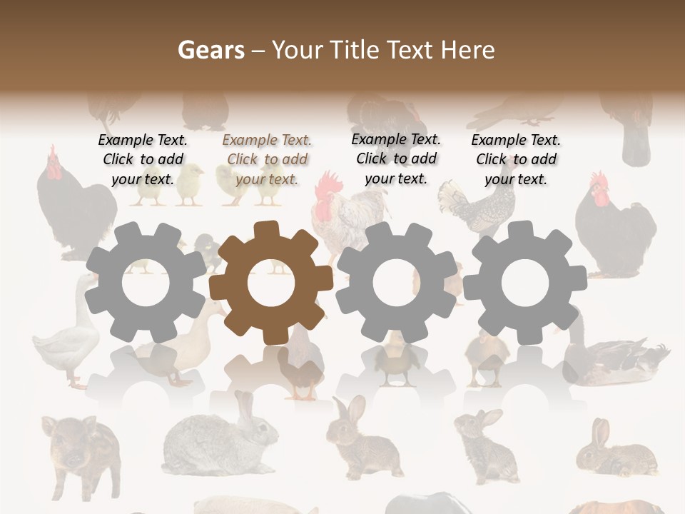 Snail Beautiful Fry PowerPoint Template