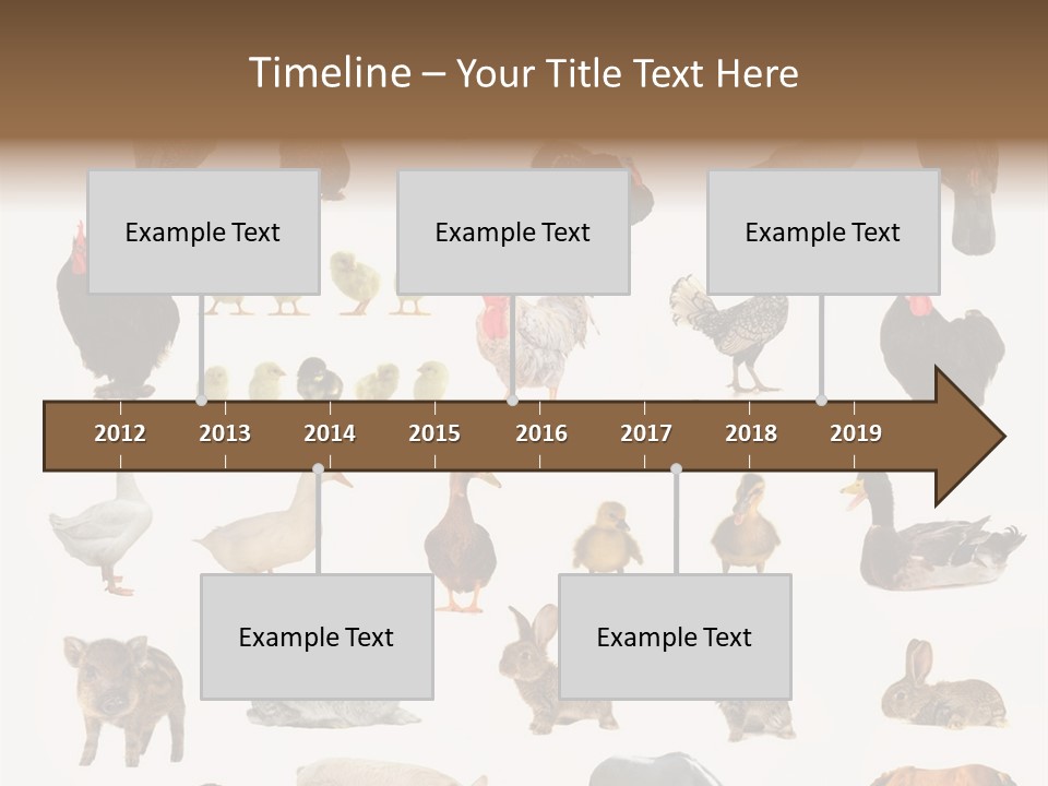 Snail Beautiful Fry PowerPoint Template