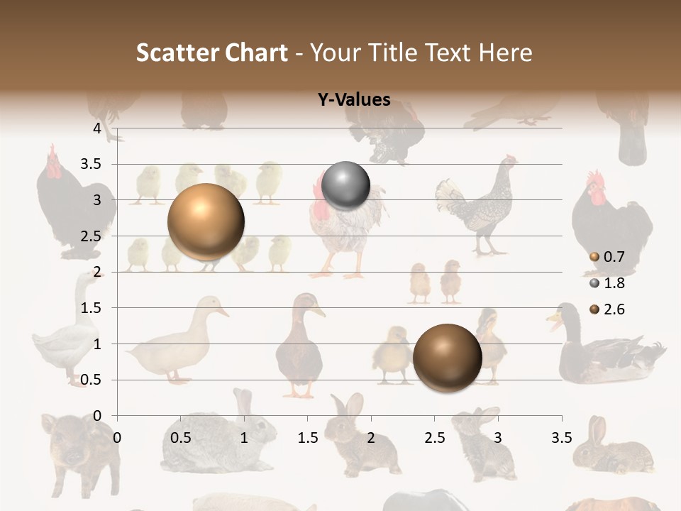 Snail Beautiful Fry PowerPoint Template