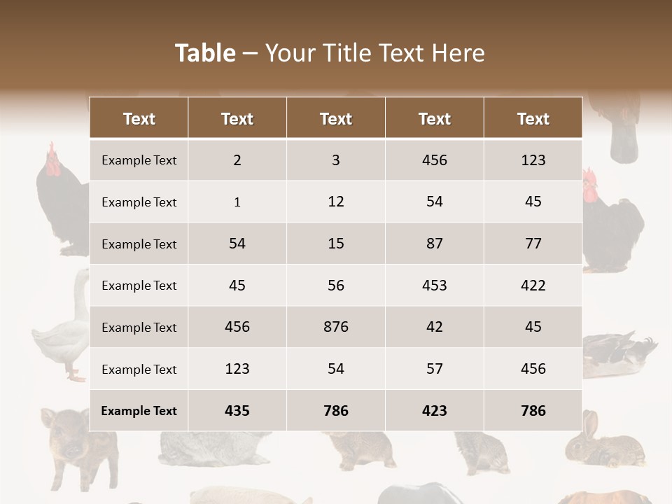 Snail Beautiful Fry PowerPoint Template