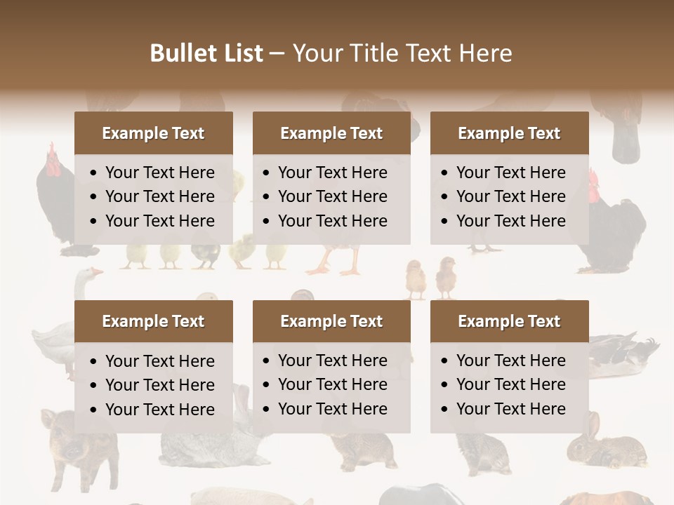 Snail Beautiful Fry PowerPoint Template