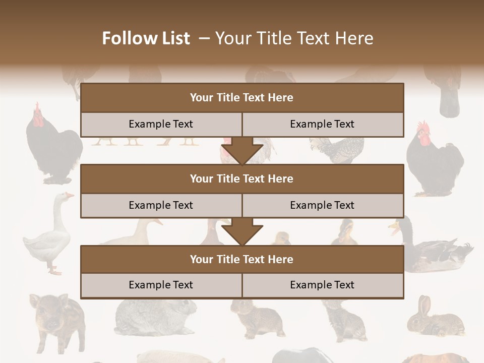 Snail Beautiful Fry PowerPoint Template