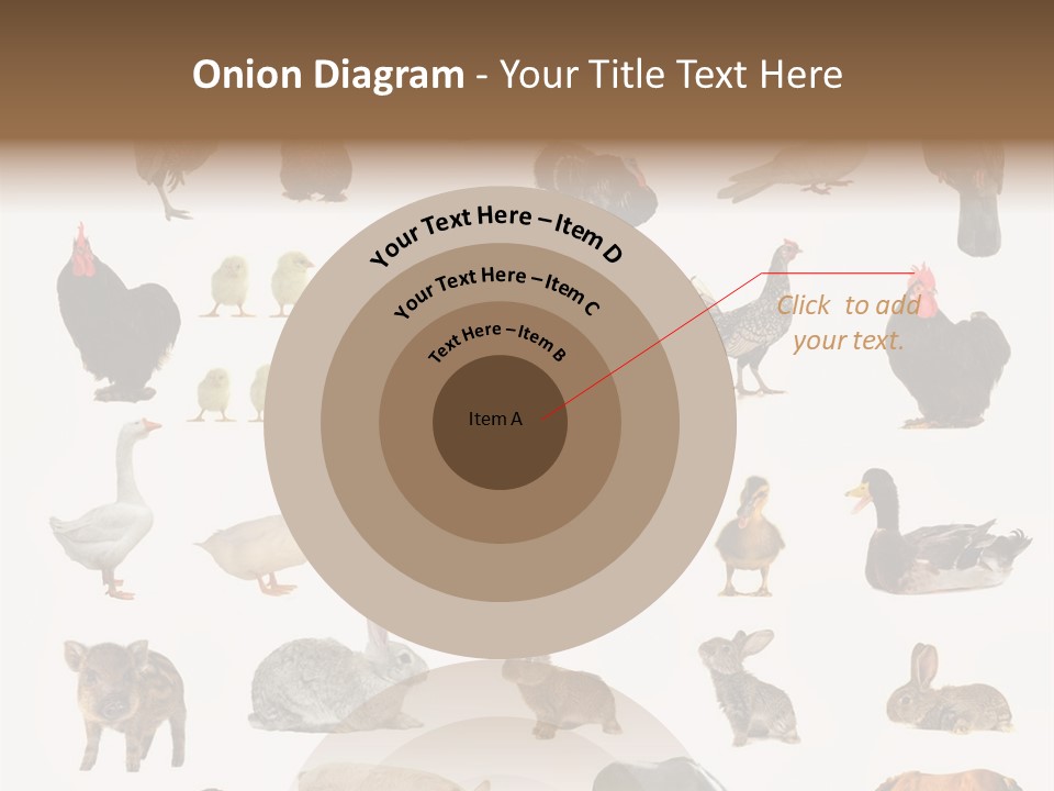 Snail Beautiful Fry PowerPoint Template