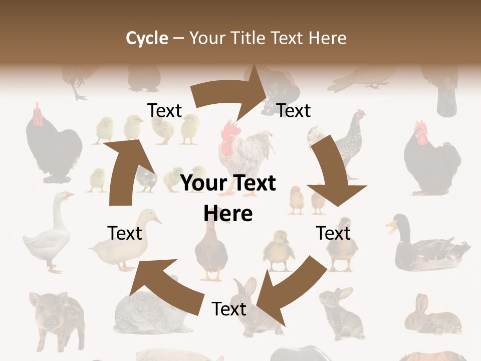 Snail Beautiful Fry PowerPoint Template