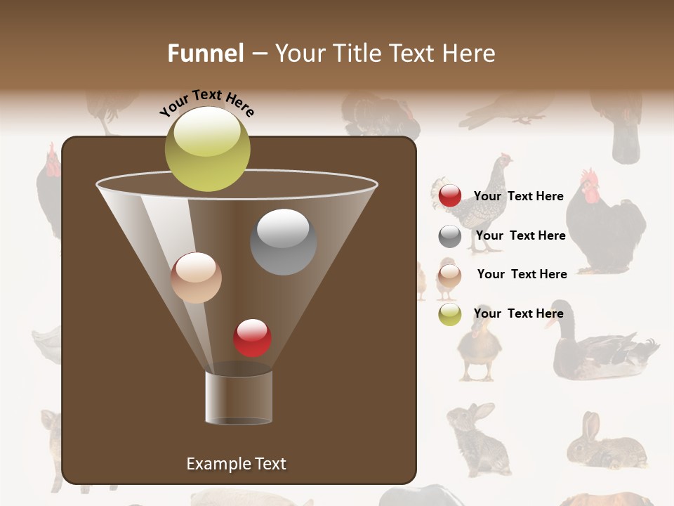 Snail Beautiful Fry PowerPoint Template