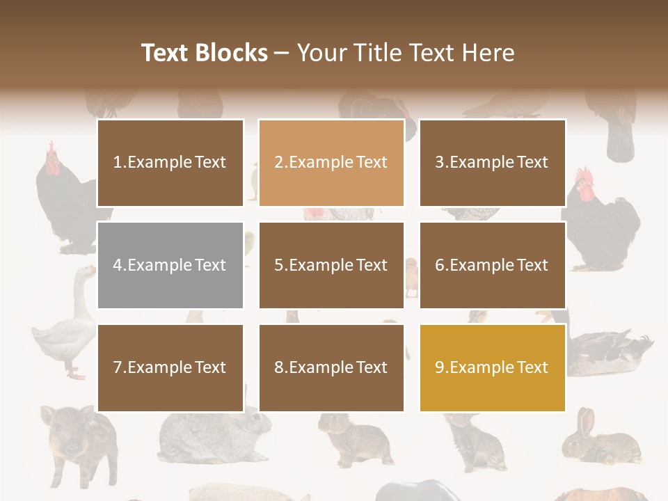 Snail Beautiful Fry PowerPoint Template