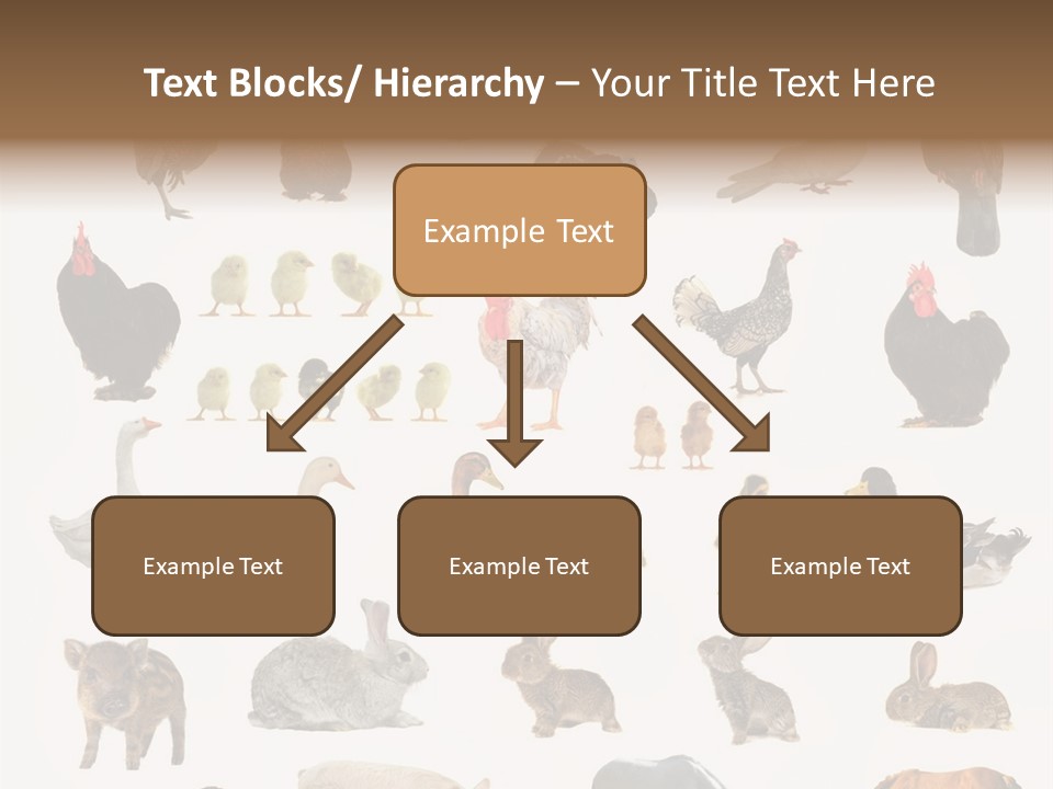 Snail Beautiful Fry PowerPoint Template